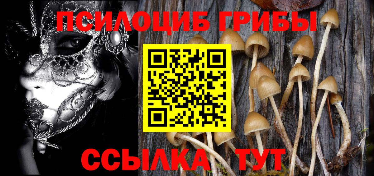 МЕФ  Каннабис  Меф кристаллы  Экстази  Северск  Вход с VPN  ГАШИШ 