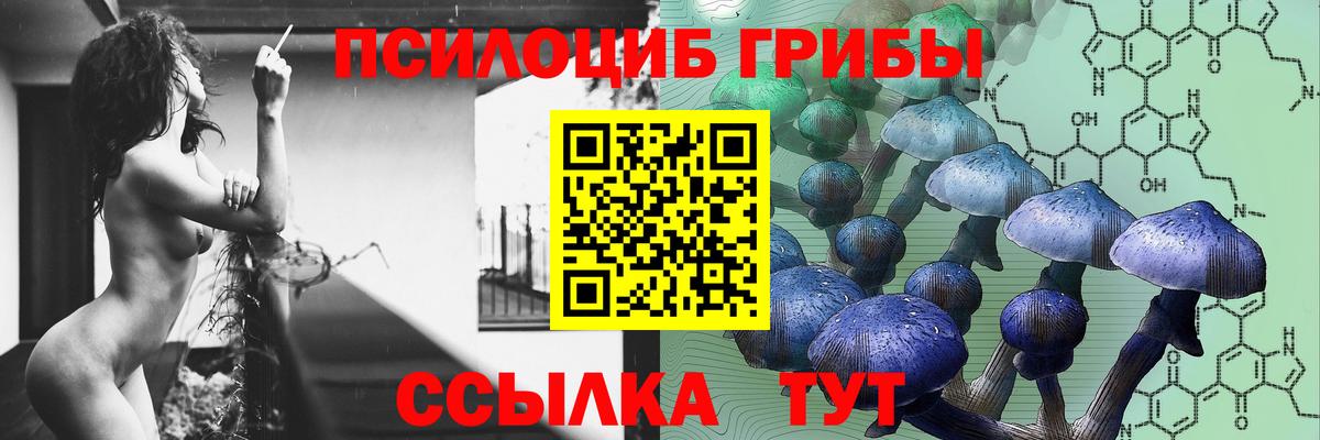 Псилоцибиновые грибы прущие грибы Северск